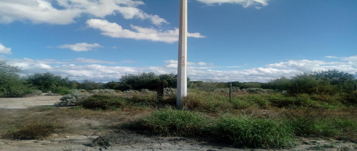 Foto de terreno habitacional en venta en lotes 28, 29 y 30 , la colmena (pozo cuatro) [huerta], hermosillo, sonora, 28174899 No. 05